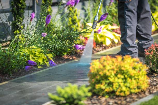 Best Winterizing Services  in Monticello, FL