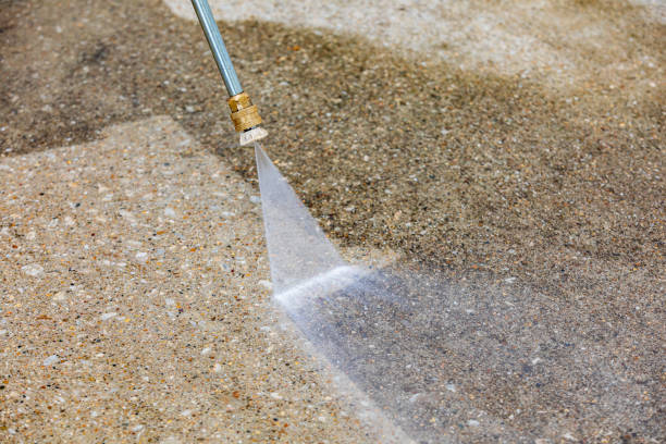 Best Animal Enclosure Cleaning  in Monticello, FL
